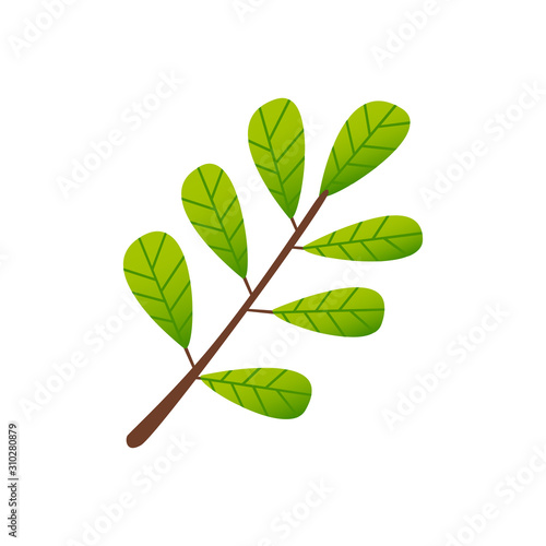 Cartoon green leaves branch isolated on white.