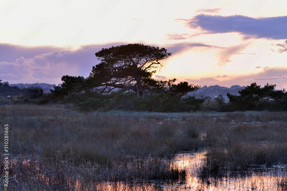 Fototapeta premium Sunset at low tide in Brittany. France