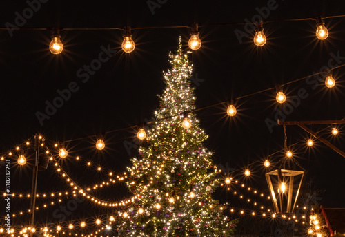 Leuchtender Weihnachtsbaum auf dem Weihnachsmarkt Bellevue in Zürich