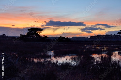 Wallpaper Mural Sunset at low tide in Brittany. France Torontodigital.ca