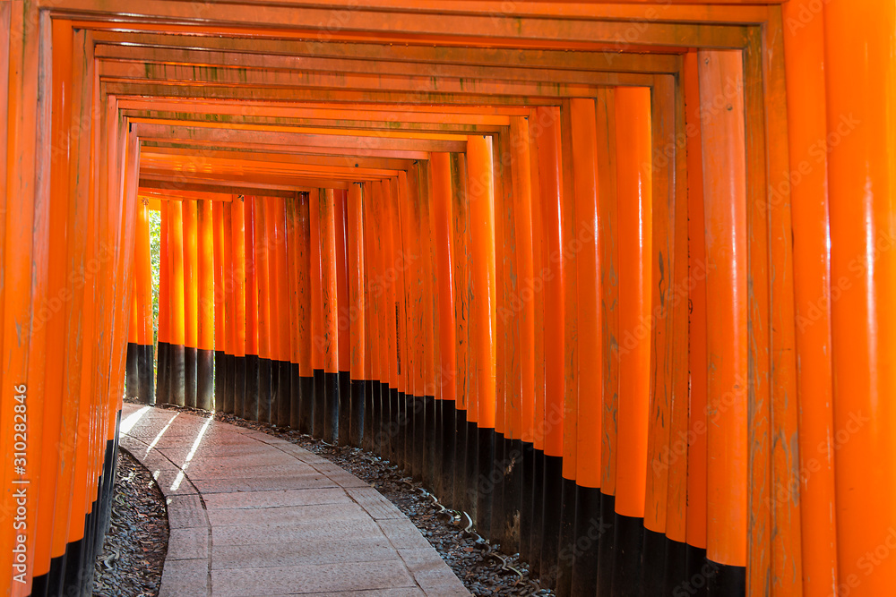 Φωτογραφία red Tori Gates at Fushimi Inari Shrine in Kyoto, Japan