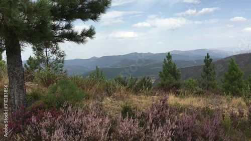 Natureza, Pampilhosa da Serra