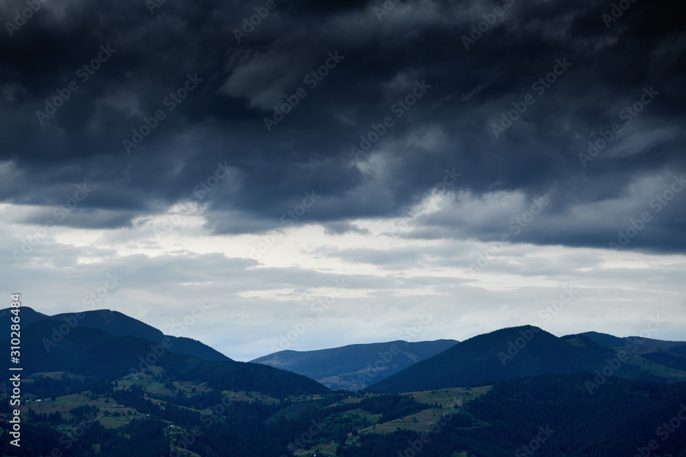 Sunset in carpathian mountains - beautiful summer landscape, spruces on hills, cloudy sky and wildflowers.