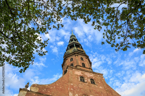 The tower of St. Peter's Church (Sveta Petera Evaņgeliski luteriska baznica)in Riga, Latvia under a blue sky with white fluffy clouds, and framed by green leaves. photo