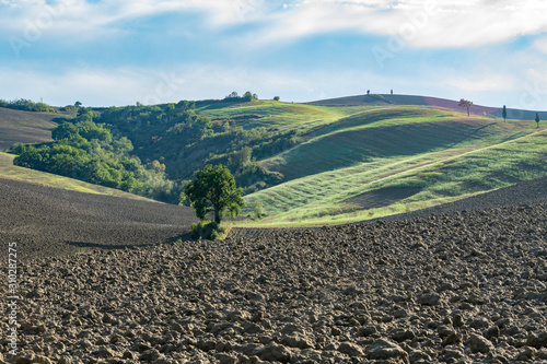 Beautiful landscape in Tuscany - wave hills covered green grass with cloudy sky. Tuscany, Italy