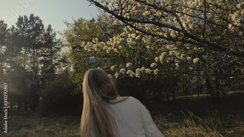 Attractive young woman in sweater, jeans is dance and spinning among blossom apple tree. Sunset, spring orchard and green field. Slow motion. Caucasian one girl, long fluttering hair. Sun glasses. photo