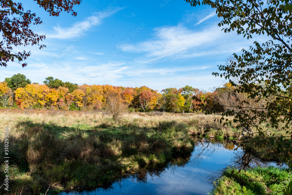 autumn landscape with lake and trees