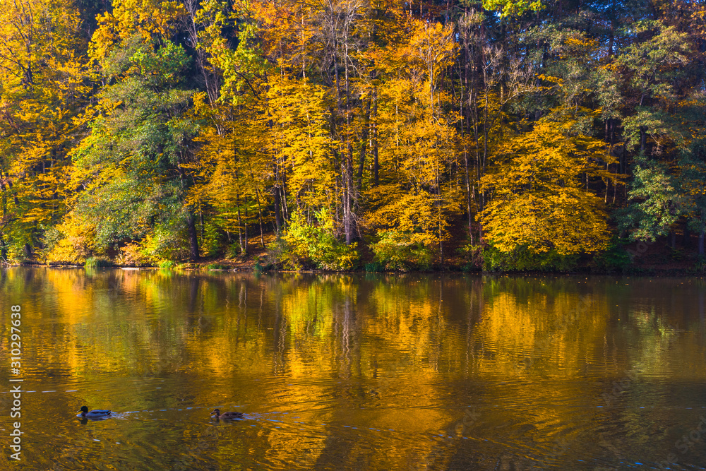 Fototapeta premium Autumn morning at lake Thal near Graz, Styria region, Austria