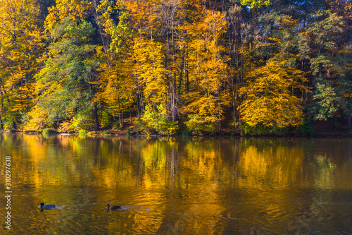 Autumn morning at lake Thal near Graz, Styria region, Austria