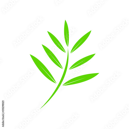 Branch with green leaves isolated on white. Vector illustration.