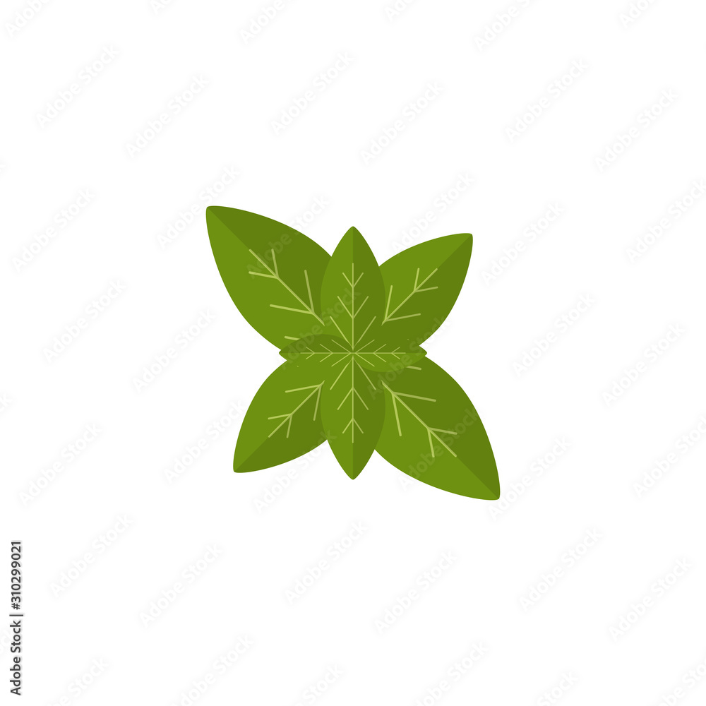 Basil color icon simple design Basil color icon simple design