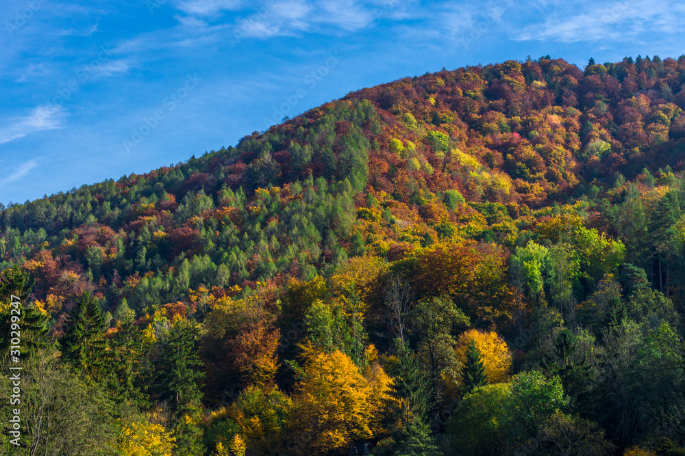 Hill with colorful trees and bright blue sky, in autumn 