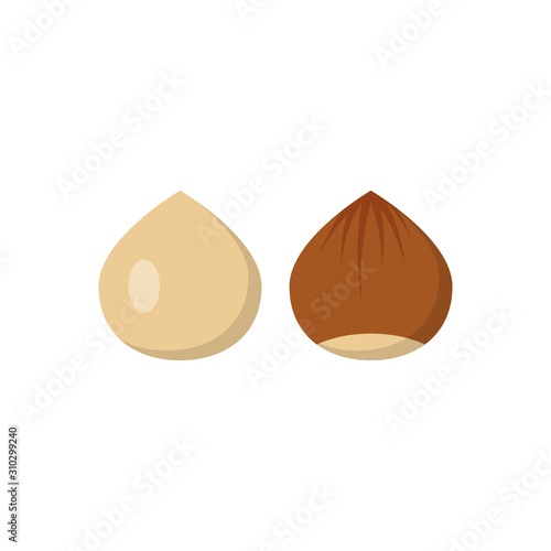 Hazelnut icon flat style. Vector eps10