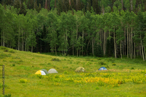 Photography Camping in the Wasatch Mountains
