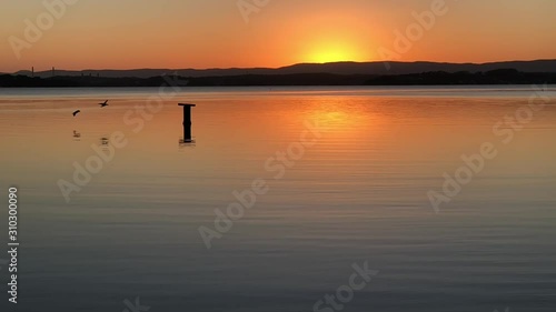 Slow motion of birds flying over Lake Macquarie Swansea, at sunset photo