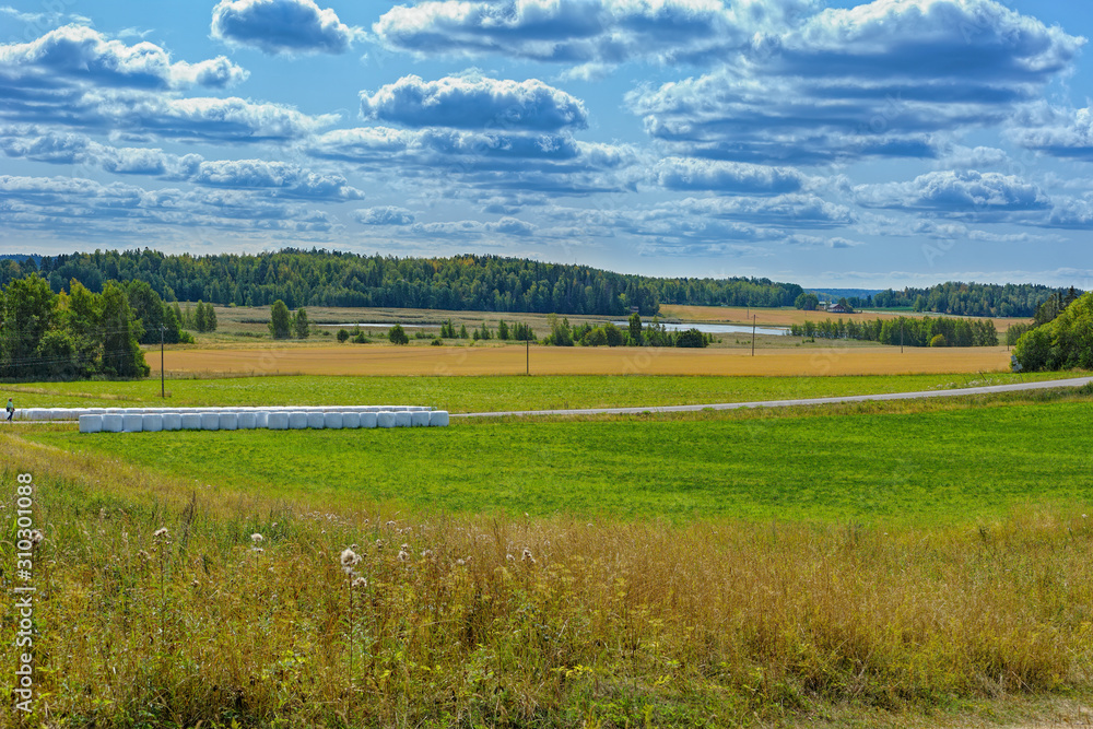 Finland pastoral countryside landscape panorama with green-yellow cereals field and barn surrounded by forest.