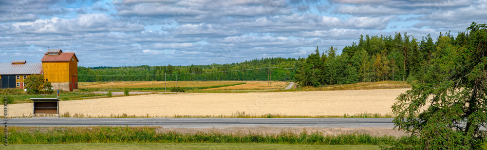 Finland agriculture landscape panorama with backcountry road, bus stop, green-yellow cereals field and barn surrounded by forest at later summer day.