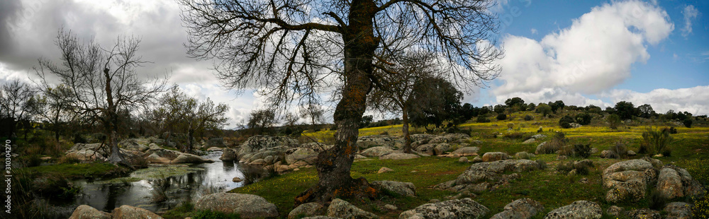 Landscape of the Montes de Toledo.