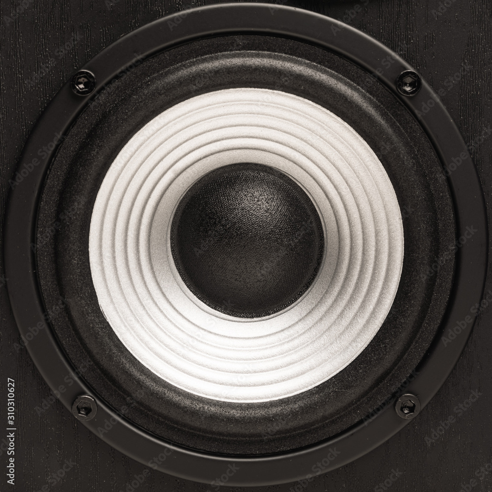 bass sound loudspeaker, close-up view bass sound loudspeaker, close-up view