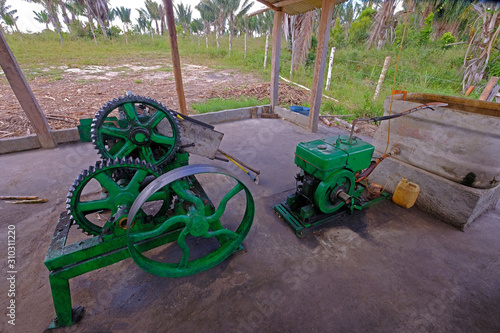 Illegal handmade artesanal sugar cane cachaca distillery near Santa Cruz Cabralia, Bahia, Brazil photo