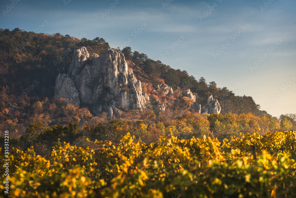Beautiful Landscape with Vineyards Hills and Limestone Rocks of Palava Protected Area in South Moravia, Czech Republic