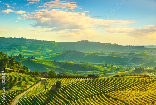 Langhe vineyards sunset panorama, Grinzane Covour, Piedmont, Italy Europe.