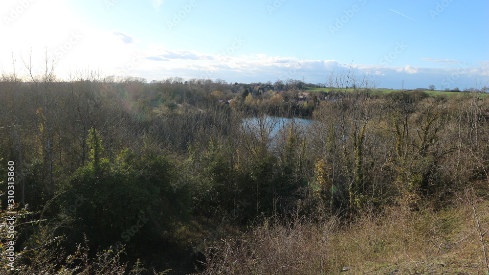 Lake near a forest in Rugby United Kingdom