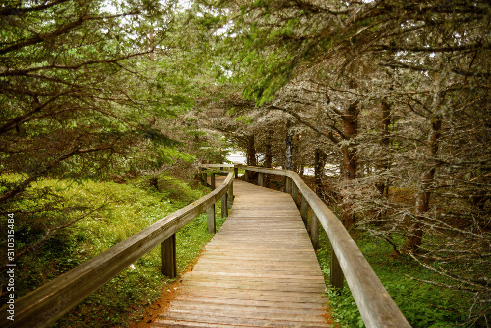 Obraz premium Walk board on the beach Nova Scotia