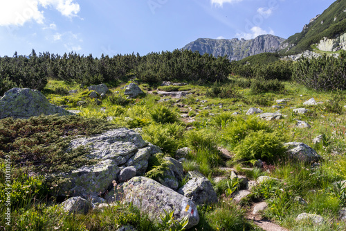 The Camel (Kamilata) peak, Rila Mountain, Bulgaria