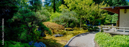 Japanese Garden