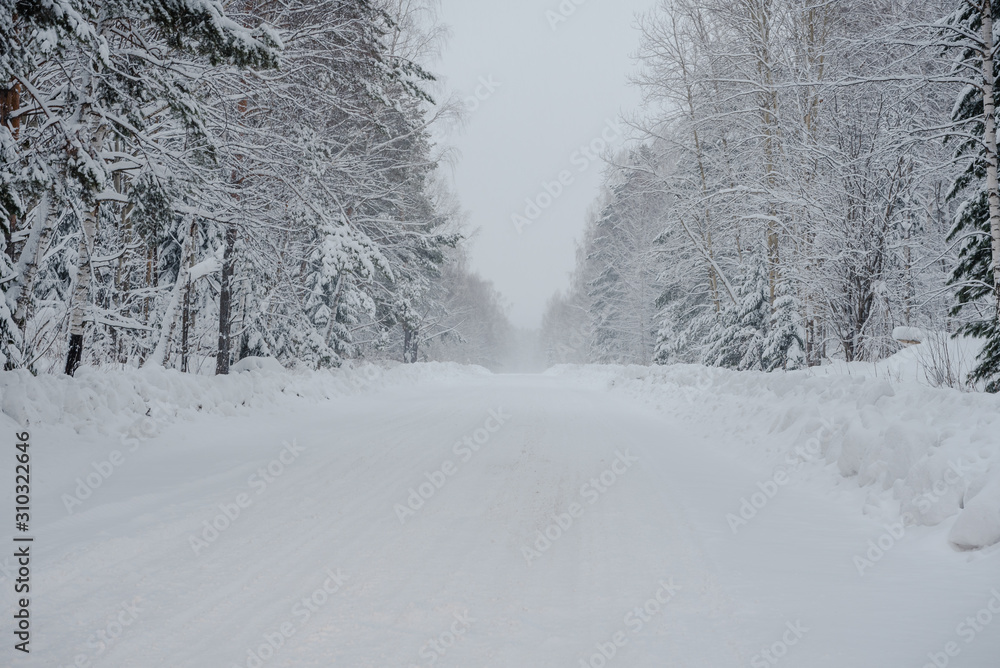 Snow fairy forest. Winter forest. Taiga snow forest. Snow fairy forest. Winter forest. Taiga snow forest.