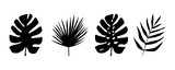Set of black and white silhouettes of tropical leaves. Vector botanical illustrations, floral elements, monstera, palm leaves. Hand drawn plant for decoration.