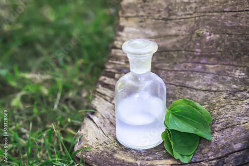 Greater plantain, Plantago, plantains or fleaworts green leaves next to clear bottle with an elixir cork. photo