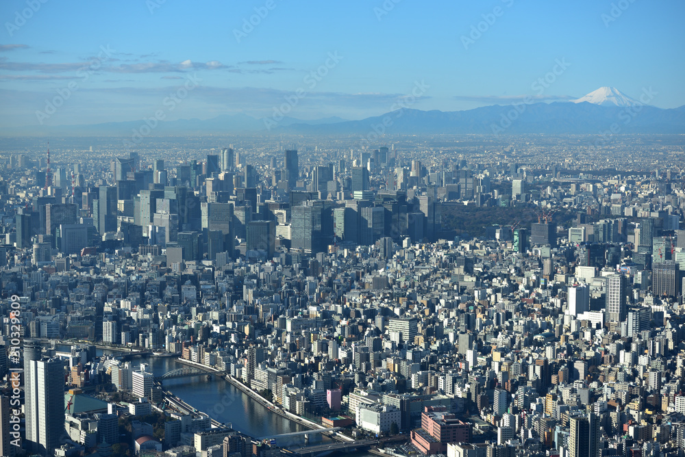 Tokyo, Japan, and Mount Fuji