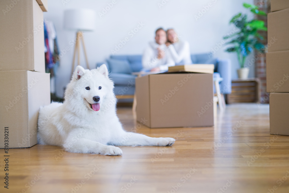 Young beautiful couple with dog sitting on the sofa at new home around cardboard boxes Young beautiful couple with dog sitting on the sofa at new home around cardboard boxes