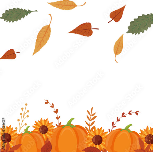 Autumn pumpkins sunflowers and leaves vector design