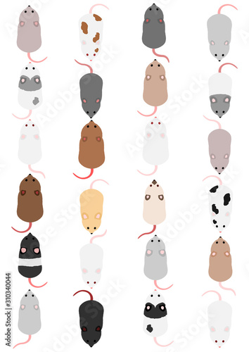Colorful mouse in rows, top view