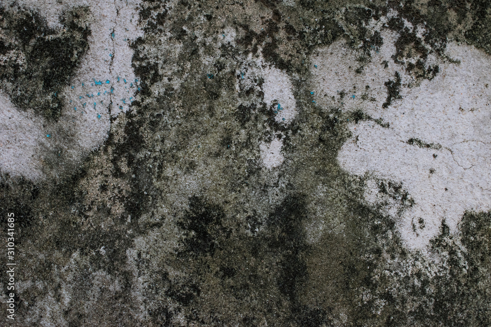Skin of old cement wall texture background Skin of old cement wall texture background