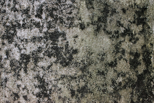 Skin of old cement wall texture background © Triam