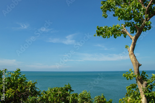 Fototapeta Naklejka Na Ścianę i Meble -  Tropical beautiful seascape view of green trees with blue sea in background.