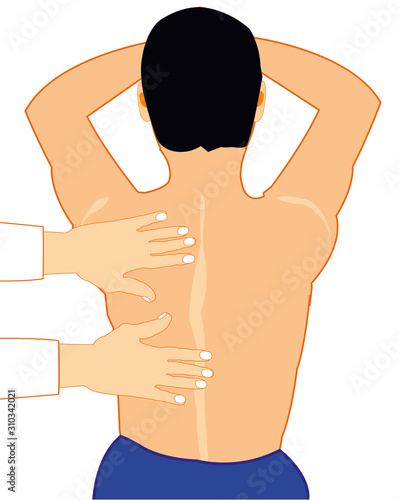 Vector illustration of the back of the person who do massage of the back