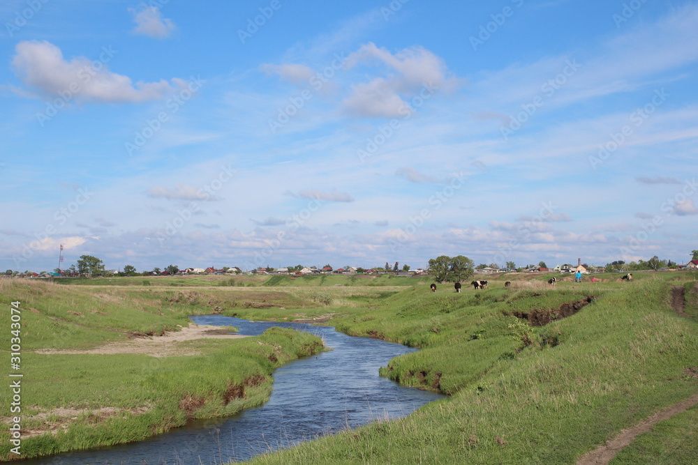 Naklejka premium the river flows pond among the hills in the Siberian steppe in the spring