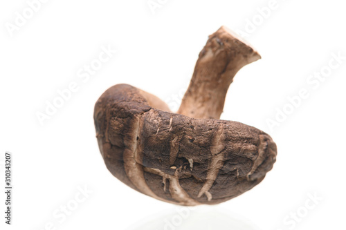 Shiitake mushrooms isolated on the white background.