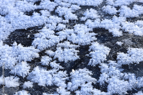 冬　フロストフラワー