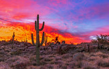 Vibrant Arizona Sunrise With Cactus