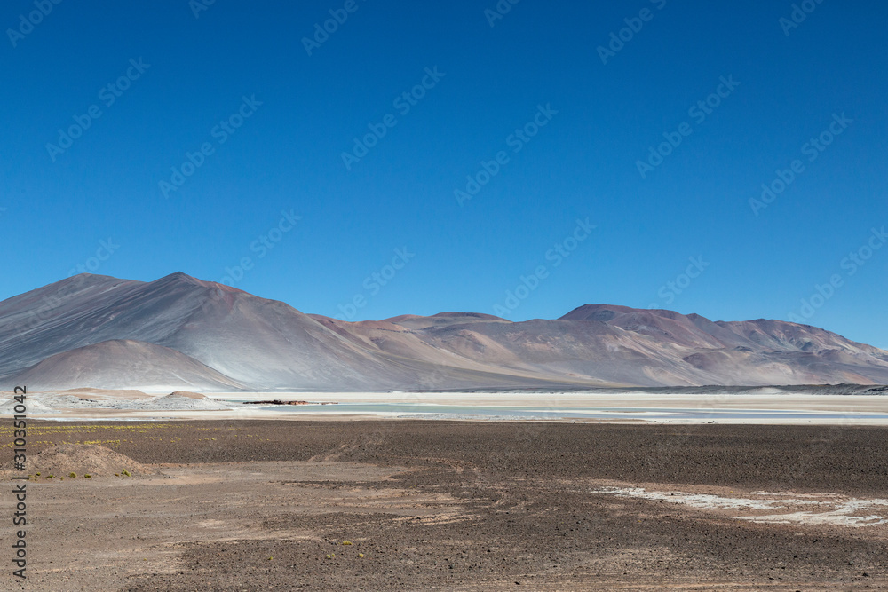 Landscapes of the Atacama Desert, Chile, salty lagoon