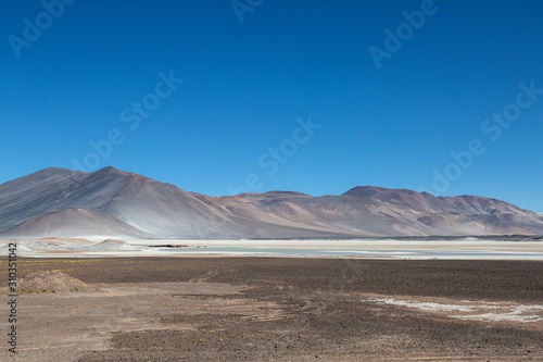 Landscapes of the Atacama Desert  Chile  salty lagoon