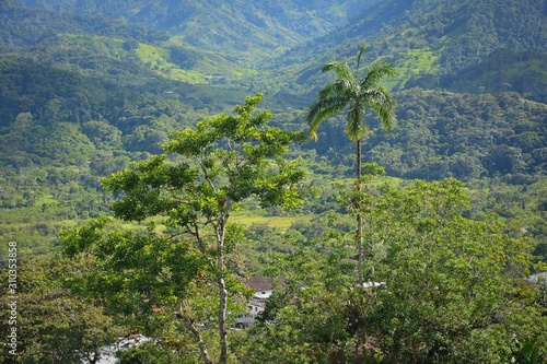 ecuadorian landscape
