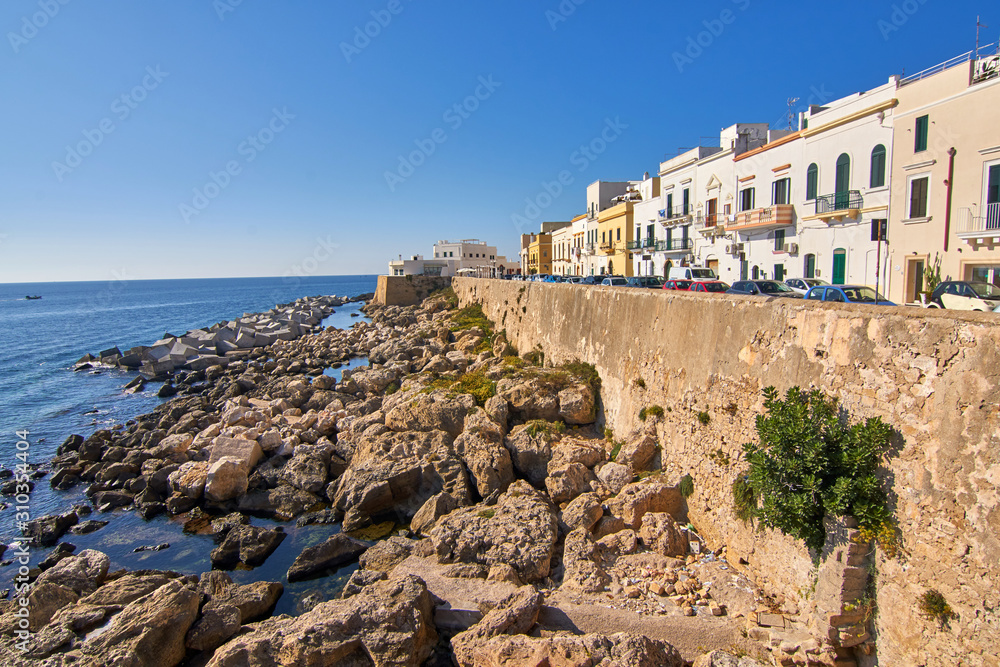 Coastline Cityscape With Colorful Houses at Gallipoli Puglia Italy