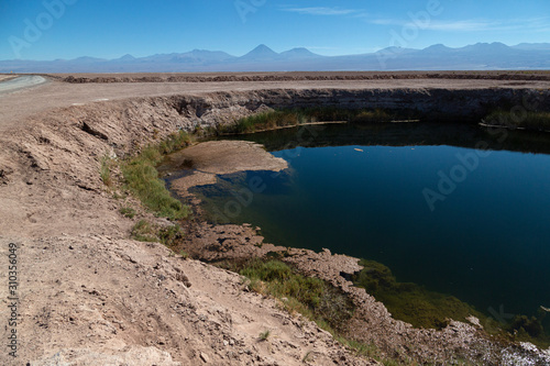 Landscapes of the Atacama Desert  Chile  Ojos del Salar 
